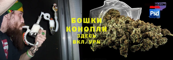 индика Няндома